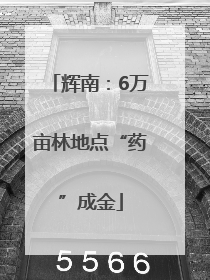 辉南：6万亩林地点“药”成金